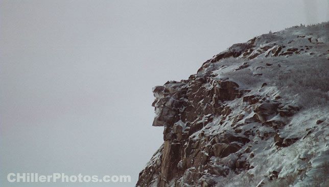 The Last Winter