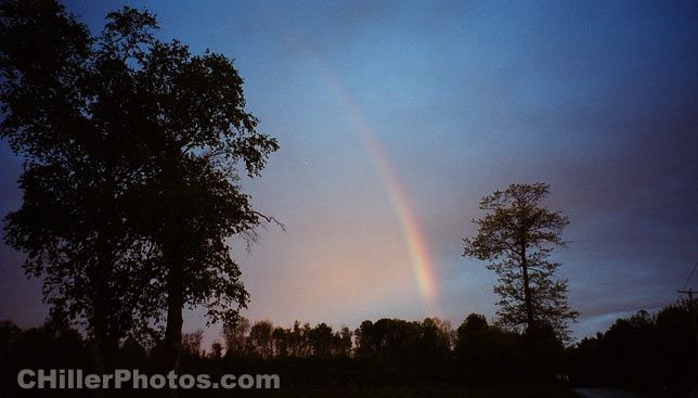 Rainbow 5