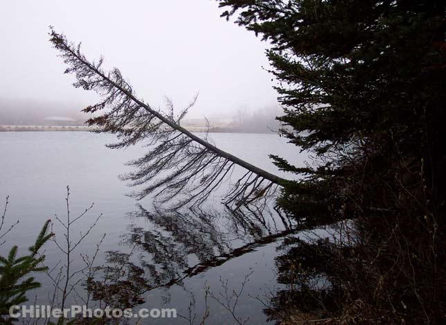 Crawford Notch