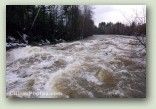 Ammonoosuc Flood 3 No. 1813